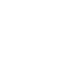 电子